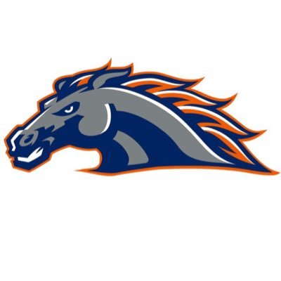 PBHS Volleyball Profile