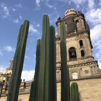 El centro de la Ciudad de México