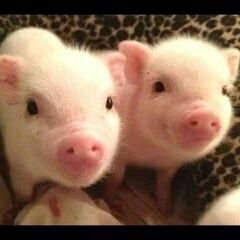 のんちゃん💜🩵🩷🤍💚💛 (@mogutan7348) / Posts / X