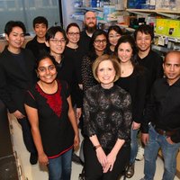 Evans-MolinaLab (@evansmolina_lab) 's Twitter Profile