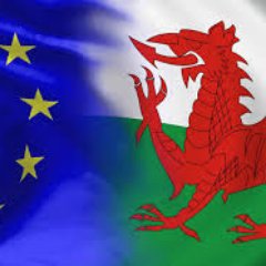 🏴󠁧󠁢󠁷󠁬󠁳󠁿Welsh European 🇪🇺   
No Party politics, it's all about #stopbrexit. Many RTs for info only.