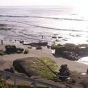 Michael Ross - @newstrak247 - Twitter