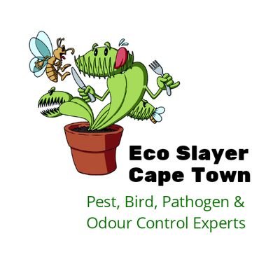 Eco Slayer Cape Town provides  Pest Control, Bird Control, Bird Proofing, Pathogen & Odour Control in Cape Town and the Western Cape for all business and homes.