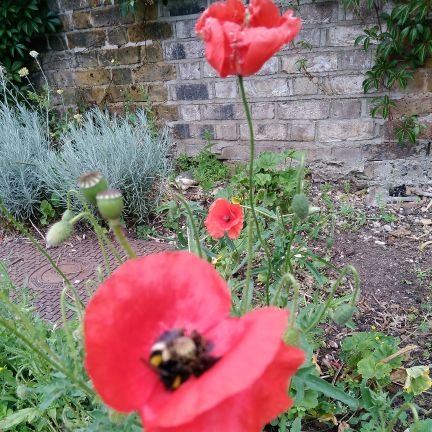 Avril43177706's profile picture. Pharmacy Technician @stgeorgestrust, interested in travelling, cycling, walking and cooking