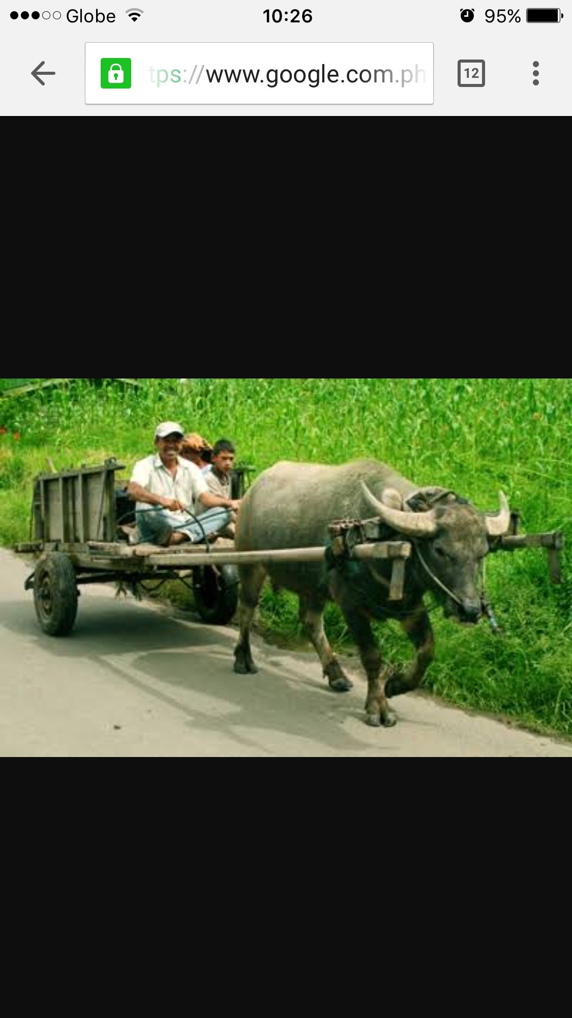 Jayjame92090313's profile picture. 