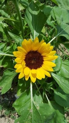 BN58gT4fmsJsVzh's profile picture. 私の気づきを共有してます。