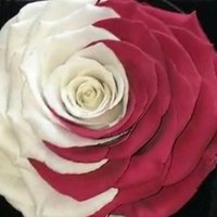 محبة للخير 🇶🇦 (@mohebalelkheer) 's Twitter Profile