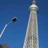 satomi_hakke's profile picture. 