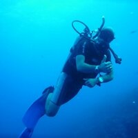 NATON (@ouestpark) 's Twitter Profile