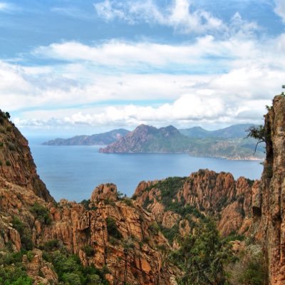 rossock1's profile picture. 