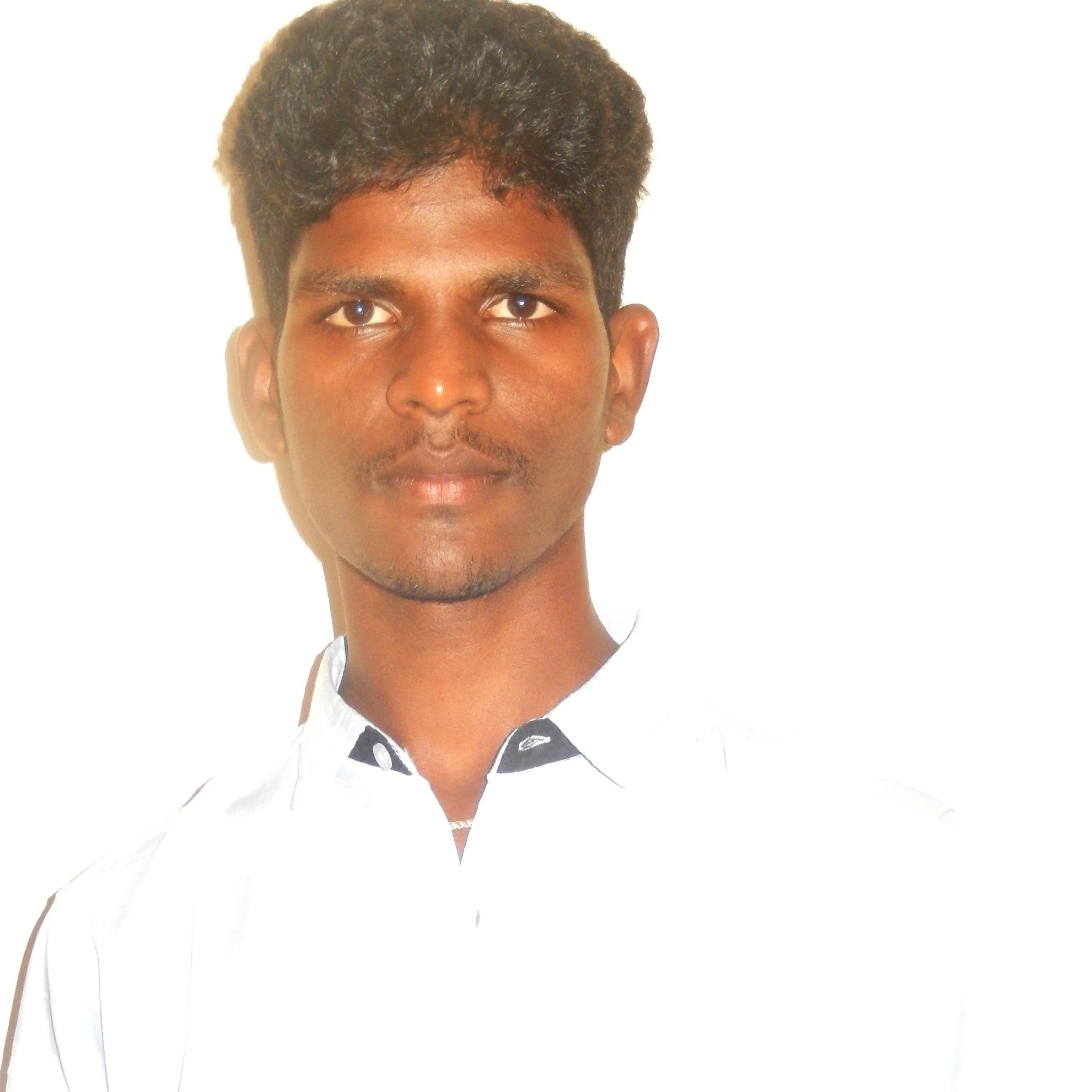 suri8495's profile picture. 