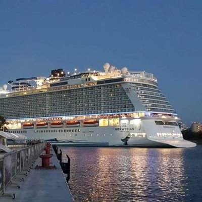 melayes1's profile picture. 