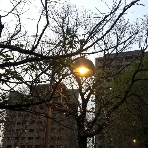 slier_owl's profile picture. 