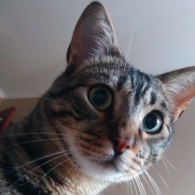 mramag's profile picture. 