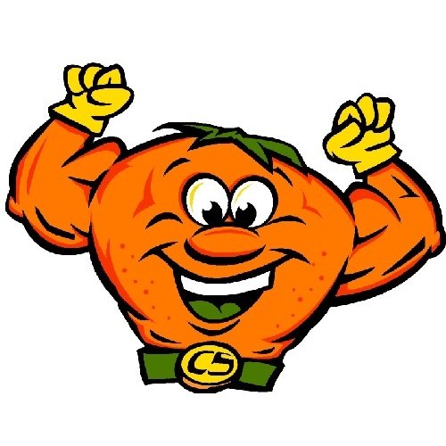 CitruSolutionCC's profile picture. CitruSolution Carpet Cleaning provides the most effective and environmentally friendly carpet cleaning in America.