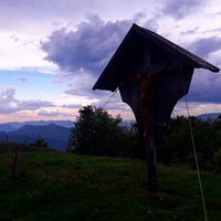 Hồ Tatom (@ho_tatom) 's Twitter Profile