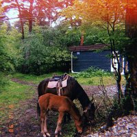 Đỗ Dahn (@layhermoye3548) 's Twitter Profile