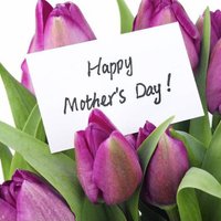 Saetteurn Romash (@frisbee5253119) 's Twitter Profile