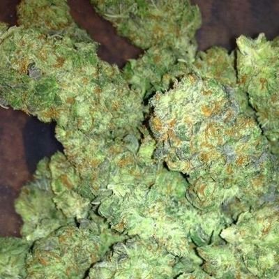 good weed for sale.all categories available
ORDER NOW!!