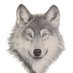 EnterpriseWolves (@ehs_wolves) Twitter profile photo EnterpriseWolves (@ehs_wolves) Twitter profile photo