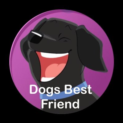 Dogs are pretty much my life let me help you with any concerns big or small or just some fun things you might want to do with your four legged bestie.