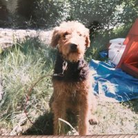 Curious (@roadrunner1941) 's Twitter Profile