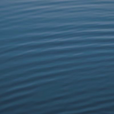 fabi_gon's profile picture. lucha por la libertad de los ideales