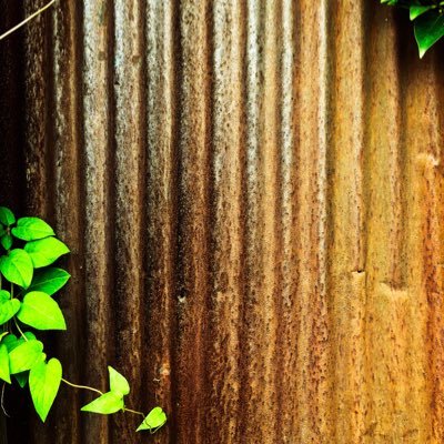 UTACOさんのプロフィール画像