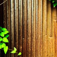 UTACO (@ywarryaaaa) 's Twitter Profile