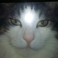 D. McL. (@debhasnocontrol) 's Twitter Profile