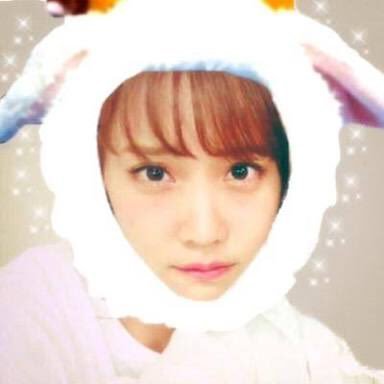 🌟🐹