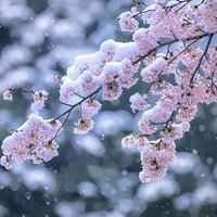 Over☆取引垢 (@over_hw) 's Twitter Profile