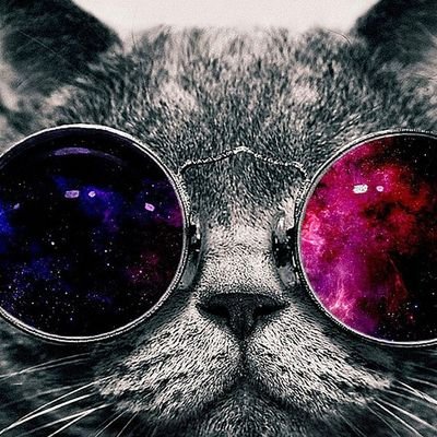 happy_25h's profile picture. 💕