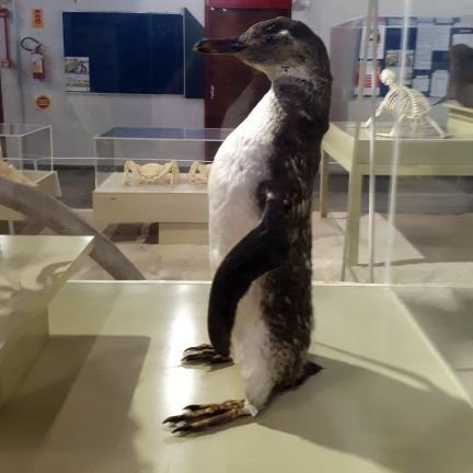 souzzzasss's profile picture. 