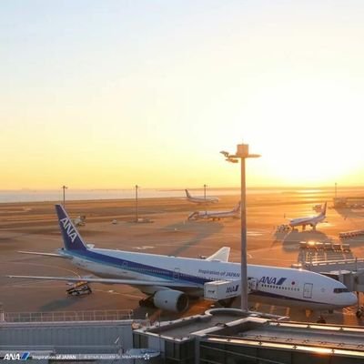 パイロット(運航乗務員)を目指しています。ソースは航大。よろしくお願いします(^^)ご飯屋さんは記録用としてあげてます。