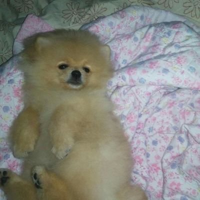 ghotasan's profile picture. ข้าน้อยชอบนอน..เป็นอาจิณ..(แสบประจำตัว)