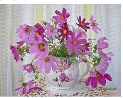 lARstkxt7bNRzQJ's profile picture. 