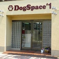 DogSpace#1(@1Dogspace) 's Twitter Profile Photo