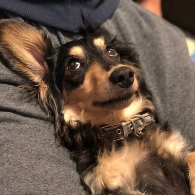 ゆうれいさんのプロフィール画像