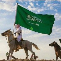 عبدالله الحربي (@aalsafari) Twitter profile photo
