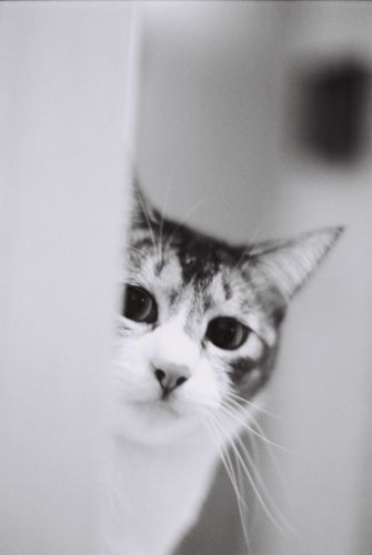 仕事って楽しいなぁ