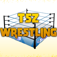 TSZ Wrestling organise des galas, conventions et festivals de catch depuis 2004, en France et aux Etats-Unis.