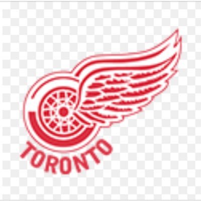 Following the Toronto Red Wings 03 minor midget team for the 2018-19 season. 2019 OHL Cup Finalists. 3rd place GTHL finish.