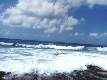 dellahod22's profile picture. 