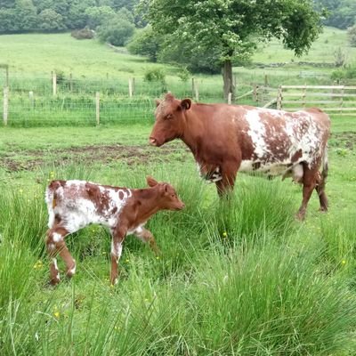 EmmaPadmore2's profile picture. Farmer's wife & holiday home owner.