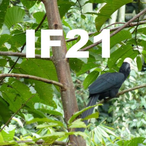Intact Forests in the 21st Century Profile