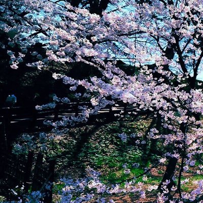 Amal8843's profile picture. ‏وبين الإحتياج والأمنيه...  ‏يختار الله لنا ما يناسبنا...