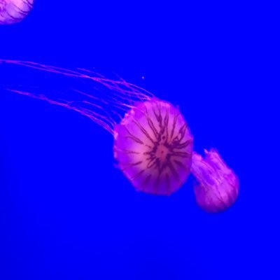 VgVanessa1974's profile picture. 