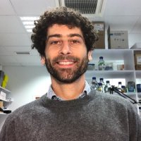 Nicola Festuccia (@nicolafestuccia) 's Twitter Profile