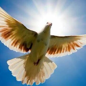 amazing_travel_'s profile picture. 🌏@photo_art_usa_i🌎@love_amazing_uk🌏@follow_art_usa🌏@lol_love_usa_uk 🌎@followme_usa_uk🌎@usa_photo_art_y🌏@nature_lol_usa🌎@amazing_travel_